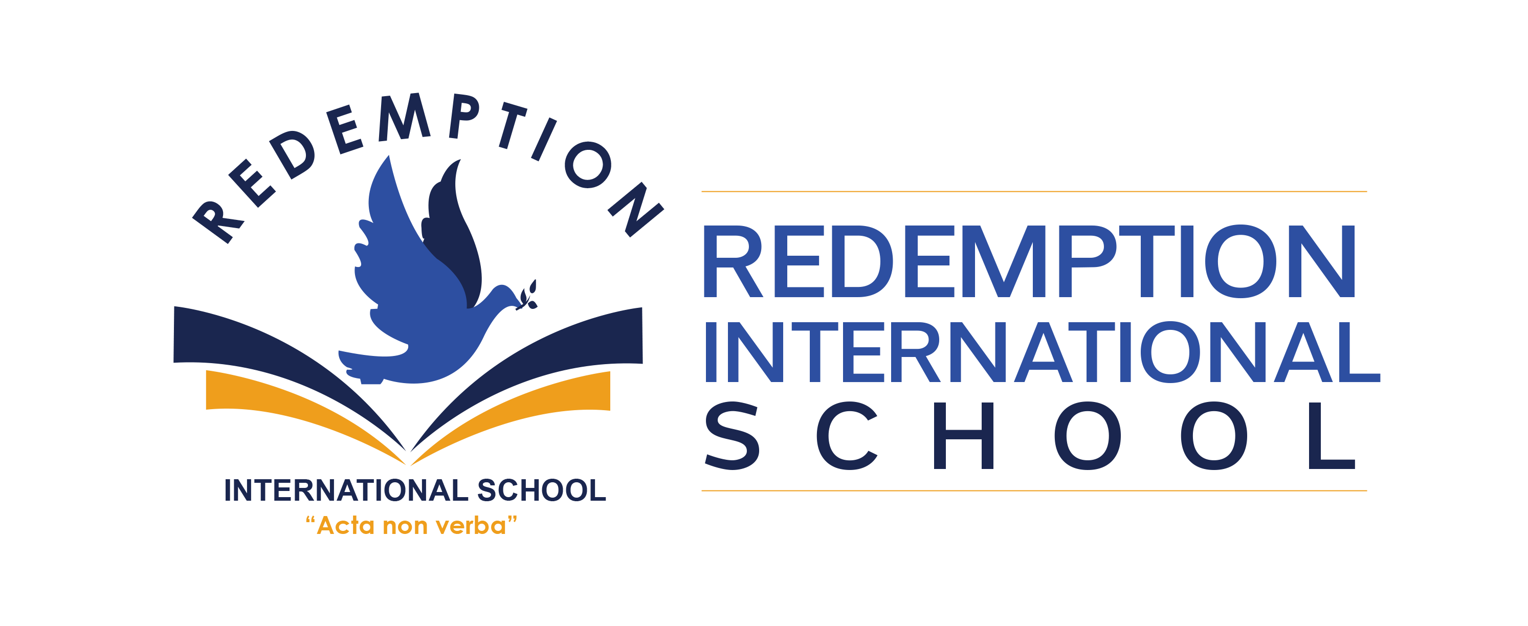 RIS Logo